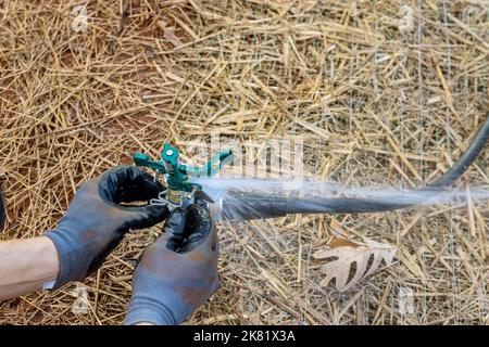 Giardinaggio architettura paesaggistica da parte di un tecnico professionista che installa sprinkler prato irrigazione cortile vicino a una nuova casa Foto Stock