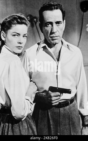 Lauren Bacall, Humphrey Bogart Film: Key Largo (USA 1948) personaggi: Nora Temple, Frank McCloud Titel Auch: 'Hafen Des Lasters', 'Gangster von Key Largo' regista: John Huston 15 luglio 1948 **AVVERTENZA** questa fotografia è solo per uso editoriale ed è copyright di WARNER BROS. E/o del fotografo assegnato dalla Film o dalla Production Company e può essere riprodotta solo da pubblicazioni in concomitanza con la promozione del film di cui sopra. È richiesto un credito obbligatorio a WARNER BROS.. Il fotografo deve essere accreditato anche quando è noto. Nessun uso commerciale può essere concesso senza autorizzazione scritta Foto Stock