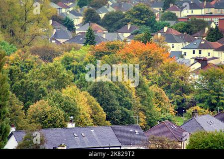 Glasgow, Scozia, Regno Unito 20th ottobre 2022. UK Weather: Pieno colore autunnale come ha raggiunto oggi tra la nuvola e la pioggia sopra l'estremità ovest ricca e frondosa della città sobborgo knightswood. Credit Gerard Ferry/Alamy Live News Foto Stock