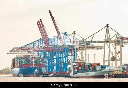 Amburgo, Germania. 20th Ott 2022. Vista delle gru e delle navi portacontainer nel porto di Amburgo presso il terminal HHLA di Tollerort. Credit: Georg Wendt/dpa/Alamy Live News Foto Stock