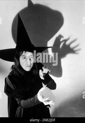 Margaret Hamilton Film: The Wizard of Oz (USA 1939) personaggi: Elmira Gulch / Titel Auch: 'Das Zauberhafte Land' regista: Victor Fleming 12 agosto 1939 **AVVERTENZA** questa fotografia è solo per uso editoriale ed è copyright di MGM e/o del fotografo assegnato dalla Film o dalla Production Company e può essere riprodotta solo da pubblicazioni in concomitanza con la promozione del film di cui sopra. È richiesto un credito obbligatorio a MGM. Il fotografo deve essere accreditato anche quando è noto. Nessun uso commerciale può essere concesso senza autorizzazione scritta da parte della Film Company. Foto Stock