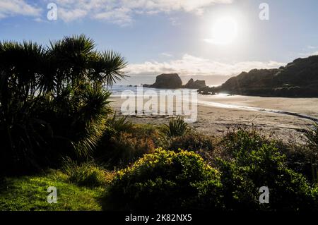 Capo Foulwind a buffer Bay vicino a Westport sulla costa occidentale di South Island in Nuova Zelanda Foto Stock