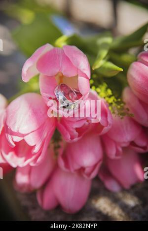 bouquet di nozze con tulipani rosa e anelli dorati Foto Stock
