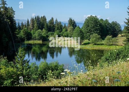 Le bellezze naturali della provincia di Artvin offrono una vista meravigliosa ai suoi visitatori in estate. Curuspil yaylası ardanuj artvin. Foto Stock