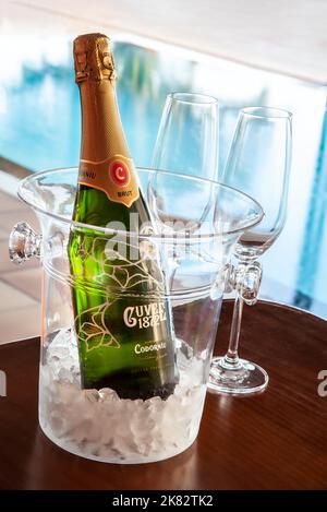 SPUMANTE CAVA CHAMPAGNE VACANZA VINO CODORNIU brut spagnolo bottiglia di vino frizzante e bicchieri, secchio di ghiaccio di lusso al fresco piscina infinity Spagna Foto Stock