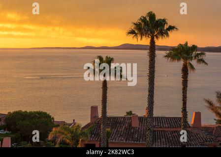 Tre palme su una terrazza di una casa, che si affaccia sulla baia durante un tramonto d'oro a Punta Ballena, Maldonado, Uruguay Foto Stock