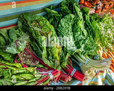 Chard Beta vulgaris subsp. Vulgaris Swiss Chard Bouches fresco fresco organico mostra al mercato degli agricoltori Embarcadero San Francisco California USA Foto Stock