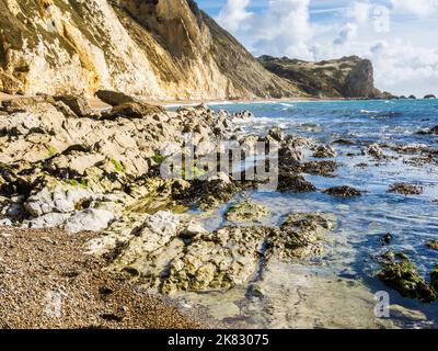 St.Oswald's Bay e Dungy Head sulla Jurassic Coast a Dorset. Foto Stock