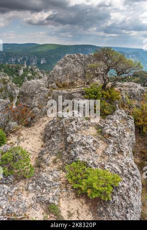 La città di pietre, all'interno del Parco Naturale Regionale dei Grands Causses, sito naturale elencato con gole Dourbie in fondo. Aveyron, Cévennes, Francia. Foto Stock