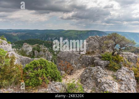 La città di pietre, all'interno del Parco Naturale Regionale dei Grands Causses, sito naturale elencato con gole Dourbie in fondo. Aveyron, Cévennes, Francia. Foto Stock