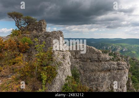 La città di pietre, all'interno del Parco Naturale Regionale dei Grands Causses, sito naturale elencato con gole Dourbie in fondo. Aveyron, Cévennes, Francia. Foto Stock