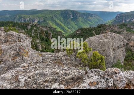 La città di pietre, all'interno del Parco Naturale Regionale dei Grands Causses, sito naturale elencato con gole Dourbie in fondo. Aveyron, Cévennes, Francia. Foto Stock