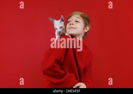 il ragazzo che si prende cura ama il suo gattino che sale sulle spalle Foto Stock