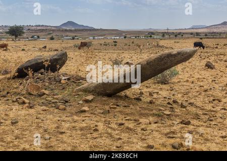 Campo di Gudit stelae ad Axum, Etiopia Foto Stock