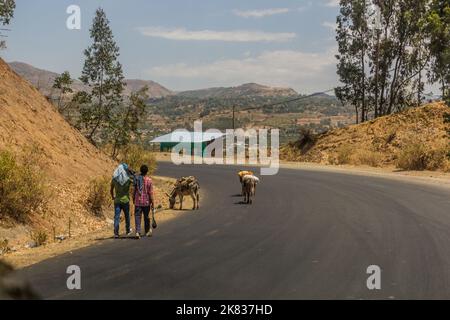 WOLLEKA, ETIOPIA - 14 MARZO 2019: Persone che camminano su una strada con asini vicino al villaggio di Wolleka vicino a Gondar, Etiopia. Foto Stock