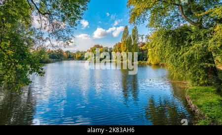 Bellissimo paesaggio con lago nel parco Rivierenhof, Anversa, Belgio. Foto Stock