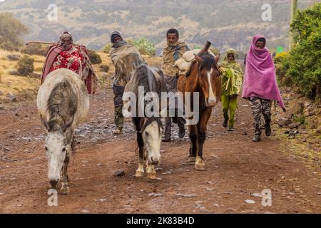 MONTAGNE DI SIMIEN, ETIOPIA - 16 MARZO 2019: Abitanti locali con muli nelle montagne di Simien, Etiopia Foto Stock