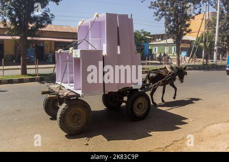 AXUM, ETIOPIA - 19 MARZO 2019: Carrello dell'asino che trasporta i mobili in Axum, Etiopia Foto Stock