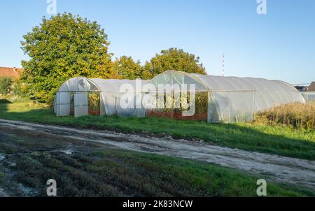 Serra privata nella periferia di Petrovaradin, Novi Sad, Serbia. Foto Stock