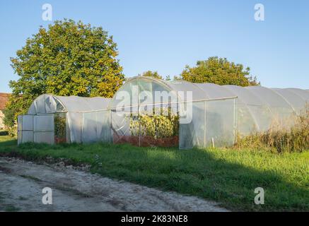 Serra privata nella periferia di Petrovaradin, Novi Sad, Serbia. Foto Stock