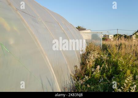 Serra privata nella periferia di Petrovaradin, Novi Sad, Serbia. Foto Stock
