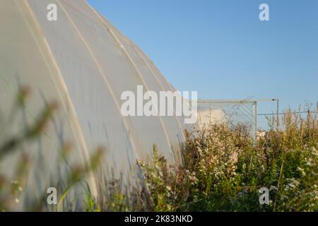 Serra privata nella periferia di Petrovaradin, Novi Sad, Serbia. Foto Stock