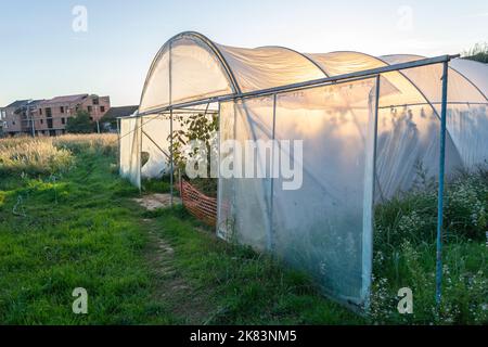 Serra privata nella periferia di Petrovaradin, Novi Sad, Serbia. Foto Stock