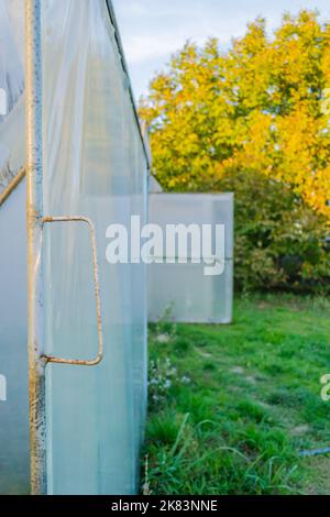 Serra privata nella periferia di Petrovaradin, Novi Sad, Serbia. Foto Stock