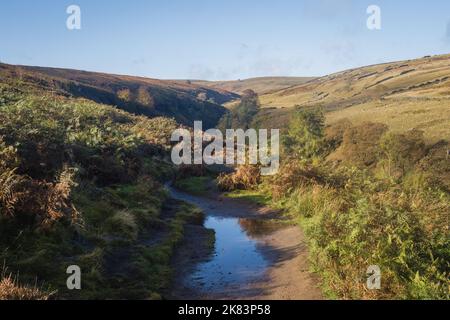 Sentiero per le cascate del Bronte e le alture di Wutherung Foto Stock