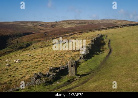 Sentiero per le cascate del Bronte e le alture di Wutherung Foto Stock