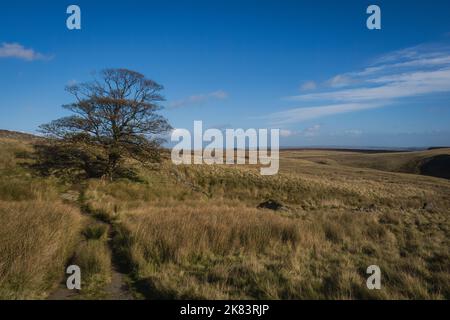 Sentiero per le cascate del Bronte e le alture di Wutherung Foto Stock