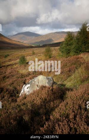 Le selvagge Highland scozzesi, le barche Cairngorms escursioni, sentieri per passeggiate, sci, pesca e visite turistiche. Foto Stock