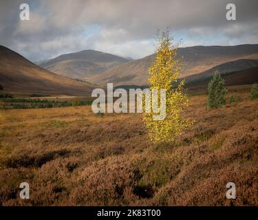 Le selvagge Highland scozzesi, le barche Cairngorms escursioni, sentieri per passeggiate, sci, pesca e visite turistiche. Foto Stock