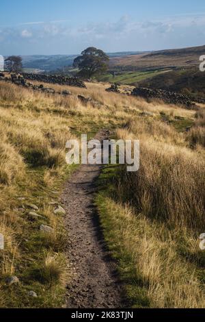 Sentiero per le cascate del Bronte e le alture di Wutherung Foto Stock