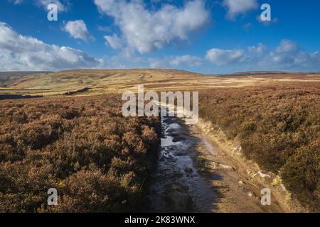 Sentiero per le cascate del Bronte e le alture di Wutherung Foto Stock