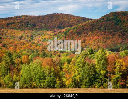 Strati di alberi in molti colori autunnali fieggiano una collina vicino Pomfret in Vermont Foto Stock