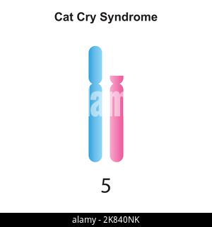 Progettazione scientifica della sindrome di Cat Cry. Simboli colorati. Illustrazione vettoriale. Illustrazione Vettoriale