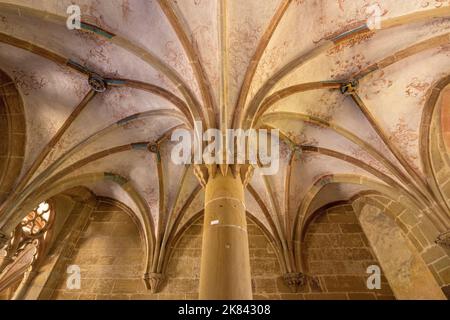 Volte a stella della casa capitolare, Monastero di Maulbronn (Kloster Maulbronn), Baden-Württemberg, Germania Foto Stock