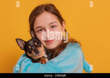Una ragazza in una felpa con cappuccio blu abbraccia un cane. Un adolescente e un chihuahua nero su sfondo giallo. Foto Stock