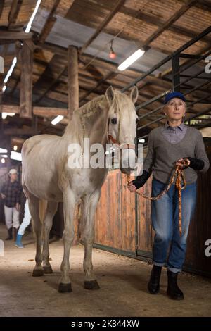 Lavoratrice stalla femminile anziata che conduce il cavallo bianco dalla briglia in fienile Foto Stock