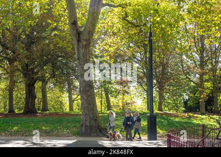 Cani da passeggio per famiglie a Battersea Park, Battersea, London Borough of Wandsworth, Greater London, England, United Kingdom Foto Stock