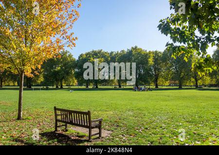 Campi da calcio, Battersea Park, Battersea, London Borough of Wandsworth, Greater London, Inghilterra, Regno Unito Foto Stock