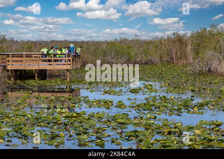 Parco nazionale delle Everglades, Florida. Gli studenti con Ranger in corrispondenza di una piattaforma di osservazione sul Anhinga Trail. Foto Stock