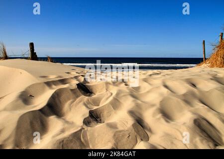 Impronte umane nelle dune di sabbia costiere, Isola di Juist, Germania Foto Stock