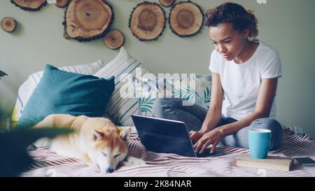 La giovane donna sta usando il laptop che acquista la digitazione in linea e sta guardando lo schermo del calcolatore mentre il puppy adorable sta sdraiandosi vicino lei sul letto in appartamento moderno. Internet e concetto di gioventù. Foto Stock