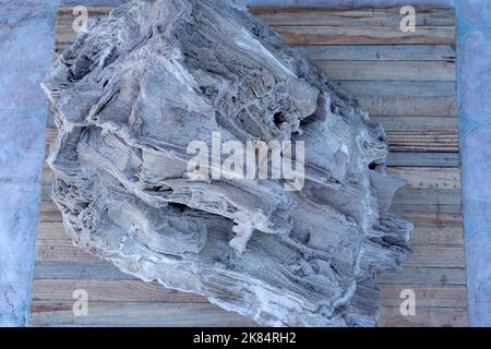 Antico vecchio legno pietrificato, scavi, minerali, come sfondo bello primo piano vista frontale stretta linea di messa a fuoco, profondità poco profonda del campo macro Foto Stock