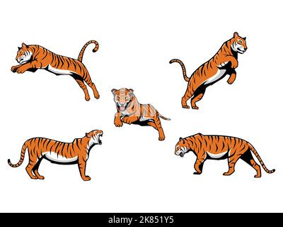 Set di Tigers Cartoon vettoriale Illustrazione Mascot Logo isolato su uno sfondo bianco Illustrazione Vettoriale
