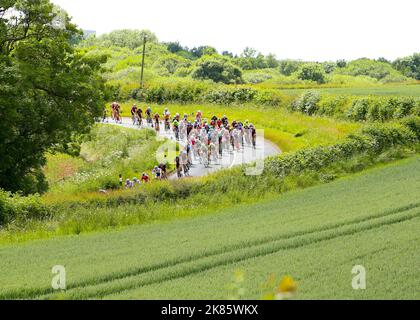 British Mens National Road Race Champs 2016 il Peloton attraversa il lato inglese della campagna fuori da stockton durante il British National Mens Championship Foto Stock