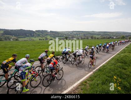 Il giro in pelotone nella lussureggiante valle verde delle Ardenne per una lunga giornata in sella a la Doyenne Foto Stock