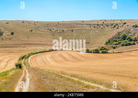 Il Long Man of Wilmington, una figura collinare dell'età del ferro, guarda giù sui campi bruni e arroccati della siccità che ha colpito il Sussex orientale Foto Stock